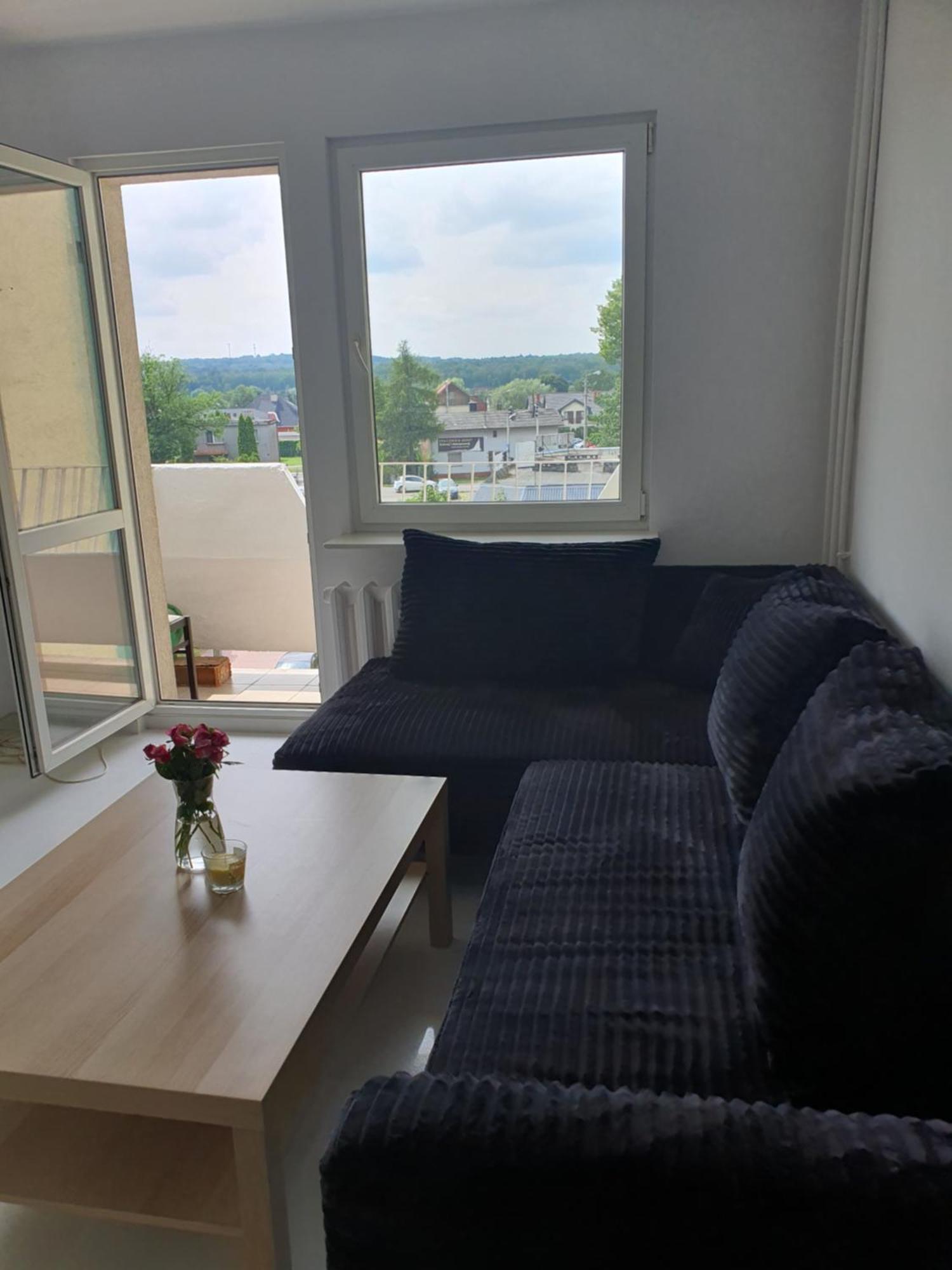 Brzeczki Apart Myslowice Bagian luar foto